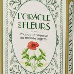 Oracle nature : les 10 meilleurs oracles comparés en 2026 oracle nature